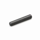 CZ Shadow 2 Kadet extension pin | part #59